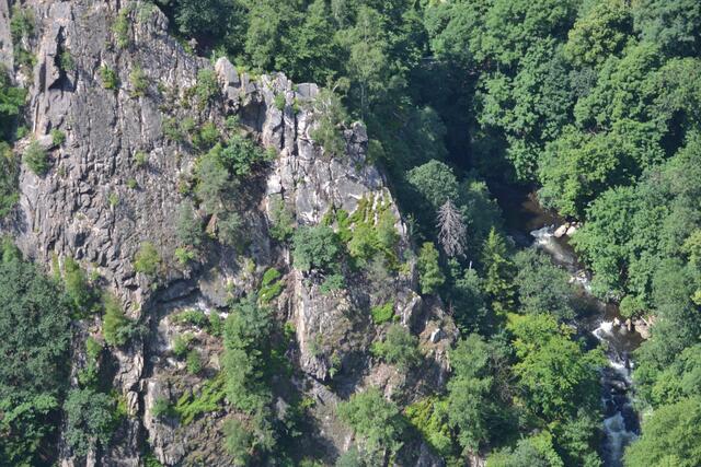 Tief im Tal rauscht die Bode (rechts im Bild) | Foto: Katja Woidtke