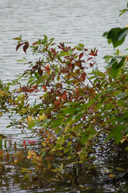 ...und doch noch etwas bunt