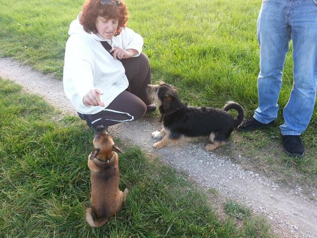 Wir sind ganz lieb ...................HER mit den Leckerlies