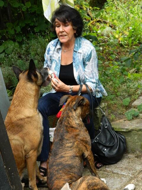 ...die Hunde nutzten das schamlos aus...:D