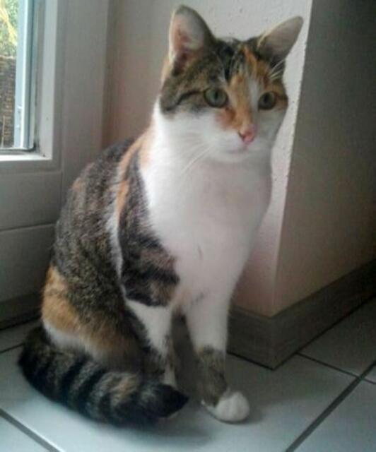 Klara (Privatvermittlung)