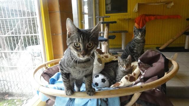 Emily, Evi und Gerry