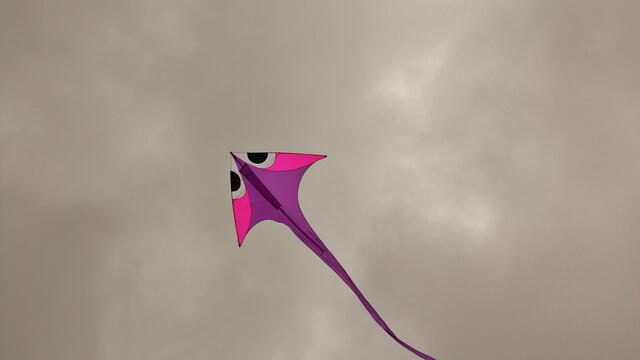 Drachenflugfest auf dem Flugplatz Laucha am 21.9.2013 !