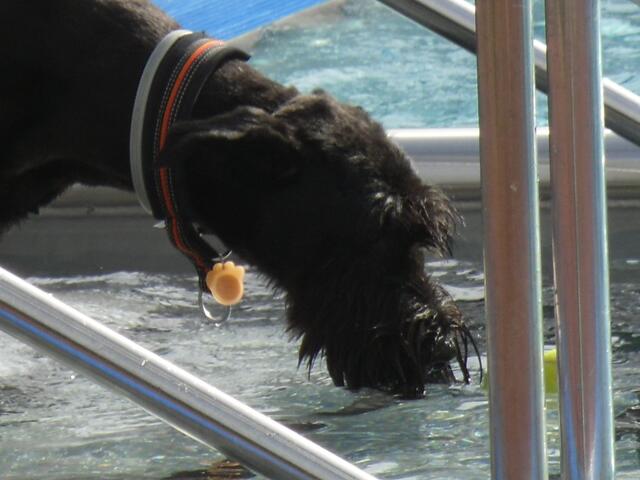Wasser! Und dann noch solche Mengen ;-)