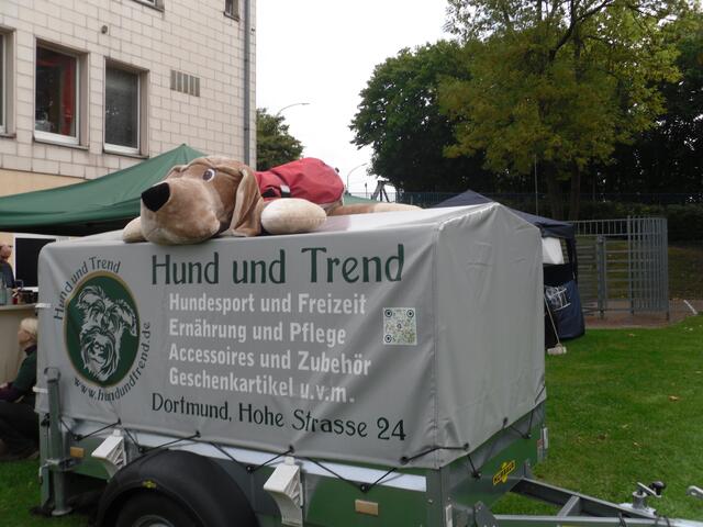 Und ich darf wieder nicht ins Wasser!