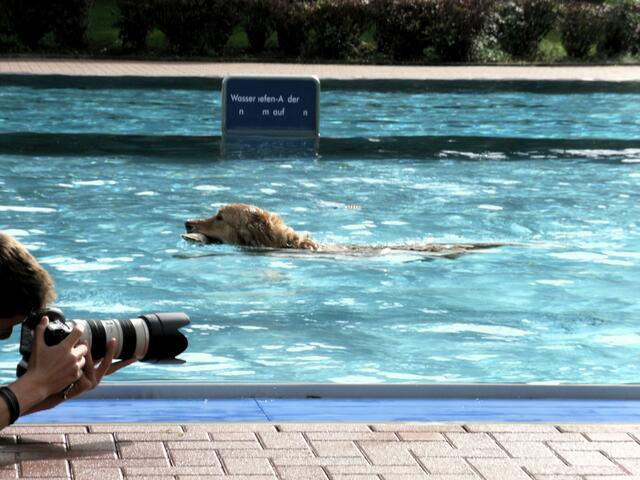 Tierfotograf bei der Arbeit