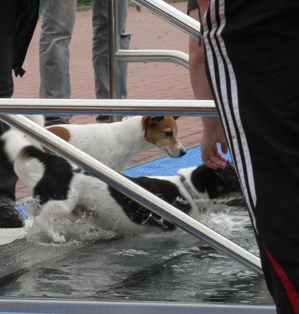 Ab ins Wasser