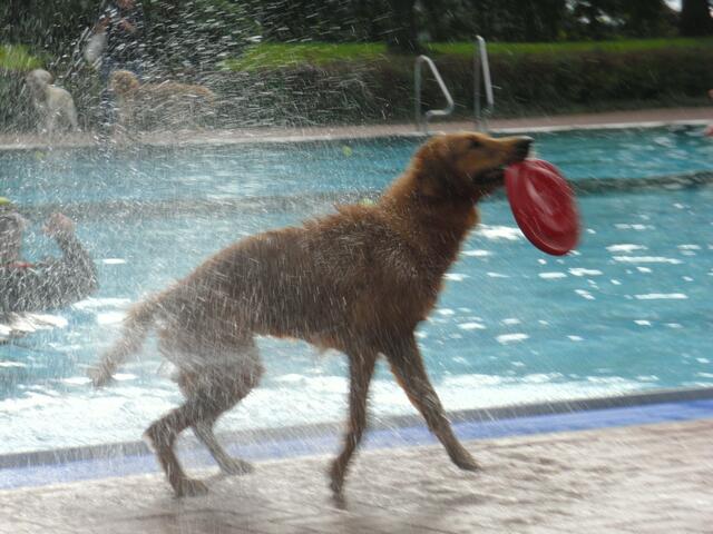 So, damit Frauchen auch mal was Wasser abbekommt!