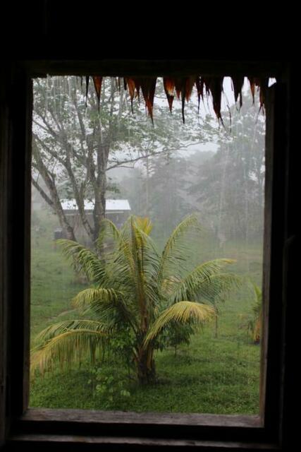 Die Mosquitia hat jede Menge Regen für uns parat.