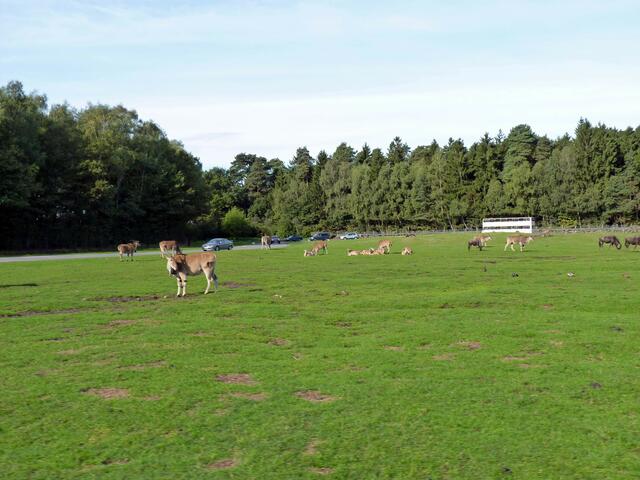 im Park...