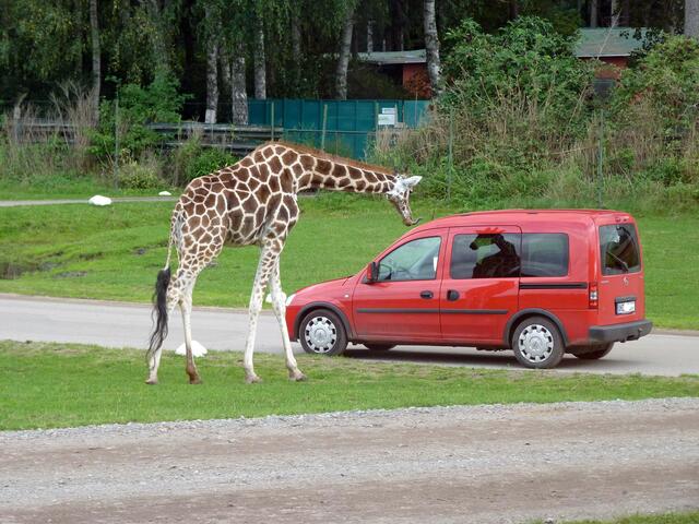 im Park...