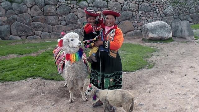 PERUANISCHE ANDENTRACHT