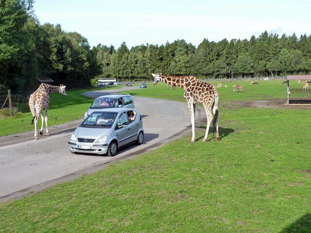 im Park...