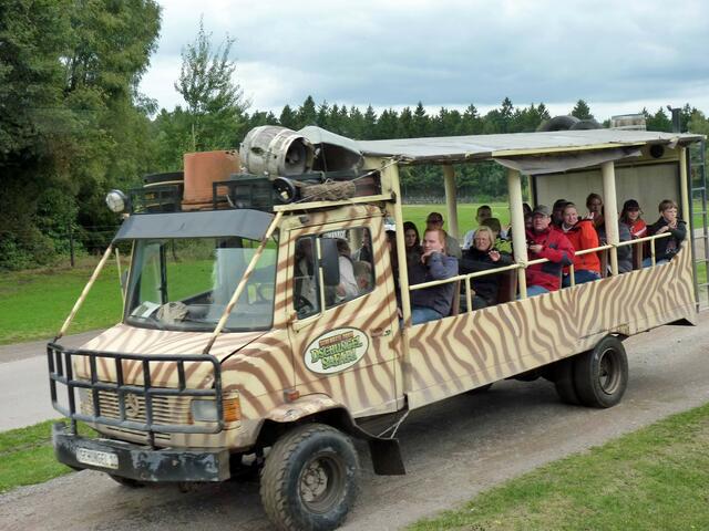 kleiner Safaribus...