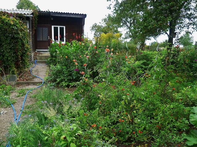 24.9.2013 - Blick zur Laube !