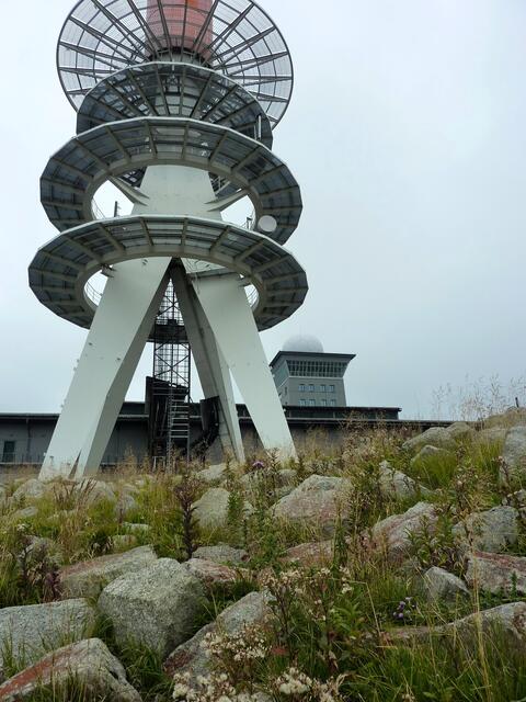 Vegetation unterhalb des Fernsehturms