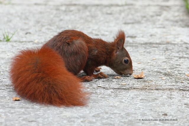 Mh,war sehr lecker !