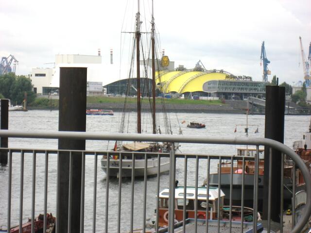 Blick zur Elbe mit " König der Löwen " im Hintergrund