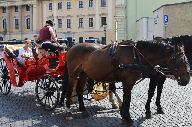 Im offenen Cabriolet durch Weimar