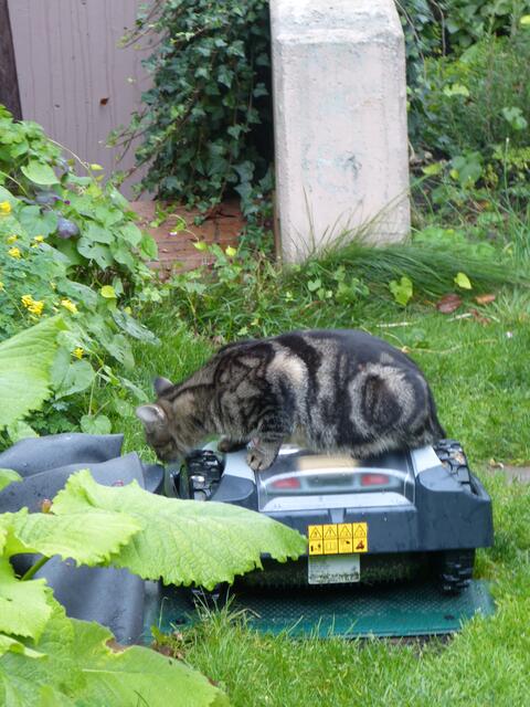 ... nun will ich ihn aber schon genau untersuchen!