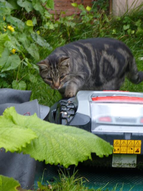 ... mal vorsichtig fühlen!