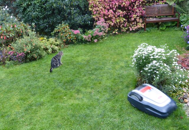 ... fährst Du jetzt endlich in Deine Station?