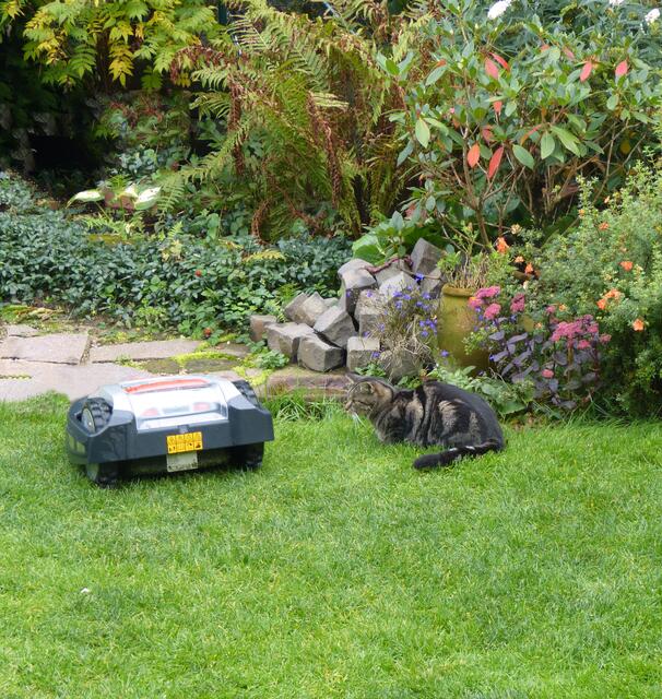 Tu mir nix, dann tu ich dir auch nix!