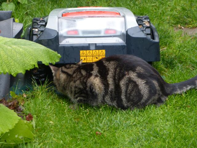 ... auch von unten mal schauen ob da keiner sitzt!