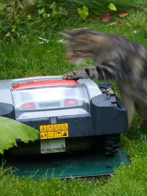 Zur Sicherheit drück ich doch lieber mal auf STOP