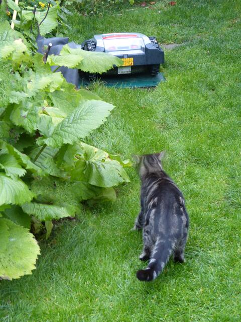 ... na endlich hält der still