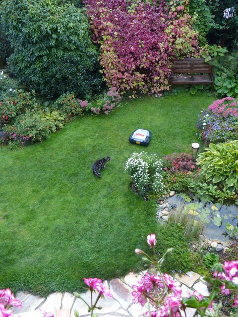 Der stört mich einfach! Weg mit Dir!