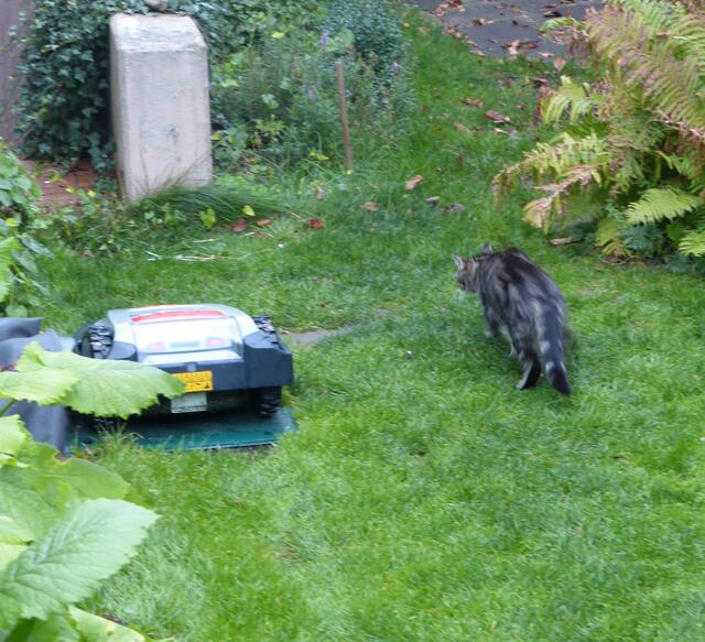 ... bleibt er wirklich ruhig?