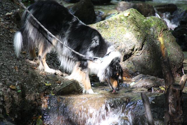 Wandern macht durstig