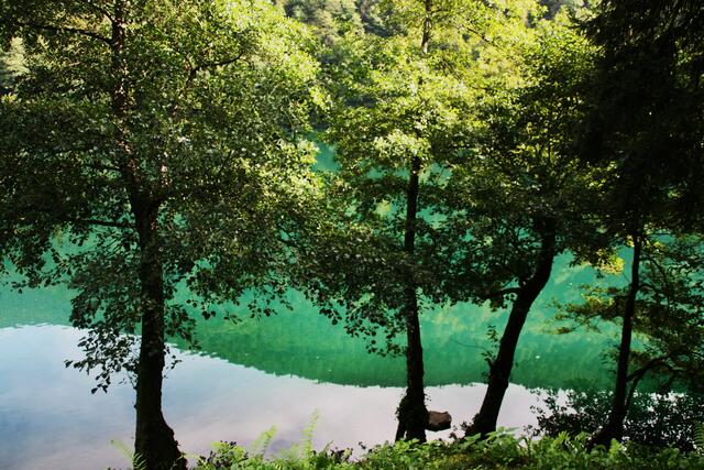 Faszinierende Farben