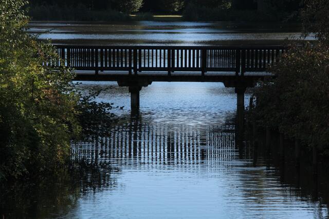 Brücke zur Vogel-Insel