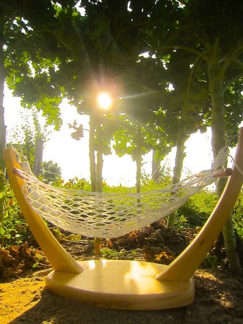 Unter Palmen in der Sonne