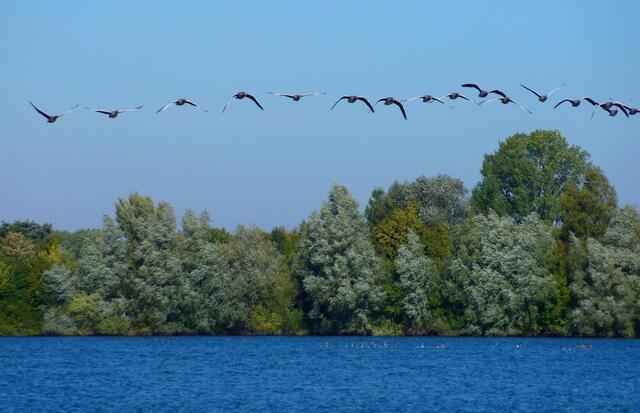 Sie sind so nett und fliegen auf mich zu.