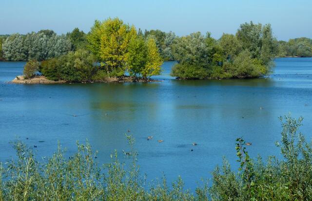 Inseln im See