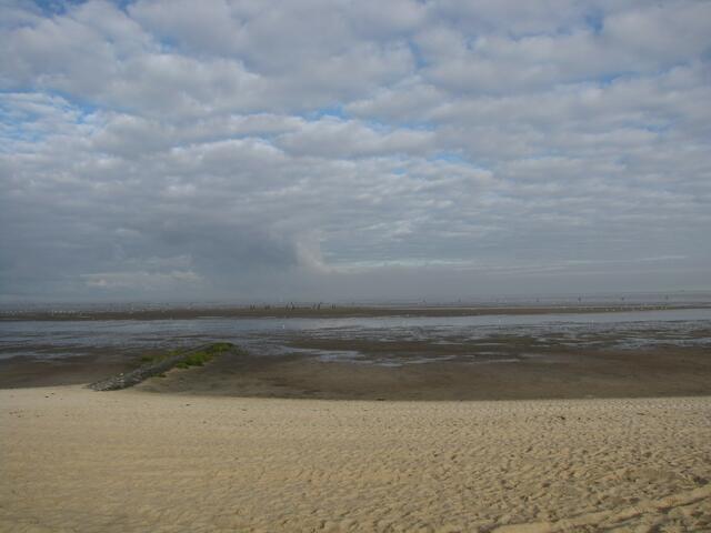 Ebbe