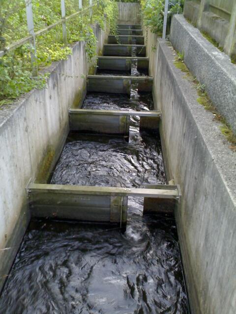 Brüggen_Leine: Mühlen-Fisch-Schlitzpass. Für schwerbepackte Fernwander-Kanutouristen ein unüberwindliches Hindernis! Viel einfacher und preiswerter machbar als: _ http://www.fuerstenberger-seenland.de/fuerstenberg-paddeln.html