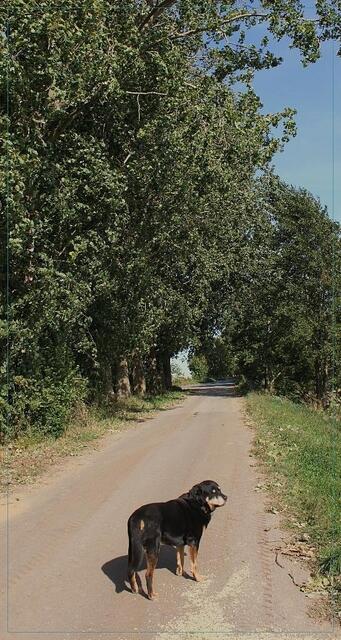 Hier ging es zum Mittellandkanal. Juri fand es langweilig.