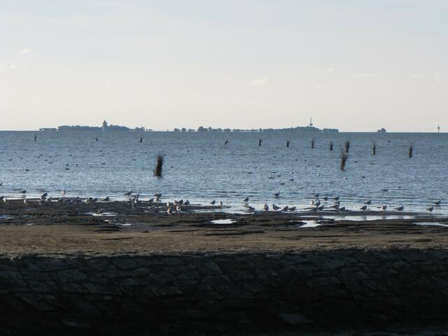 Auflaufendes Wasser. Im Hintergrund Neuwerk.