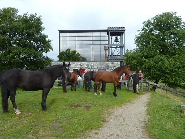 Pferde vor der St.Johann Kirche.