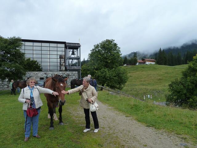 Immer auf der Flucht.