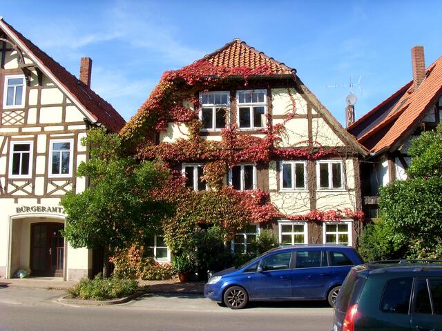 ....schön bewachsen mit wildem Wein...