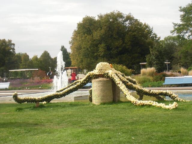Krake