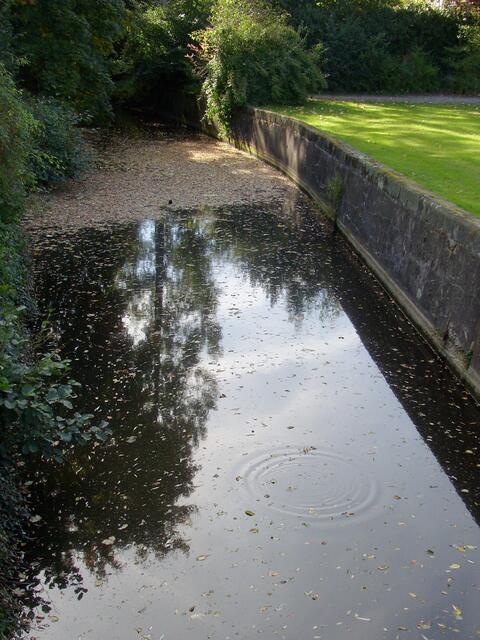 Blätterstau im fast stehenden Wasser des Burggrabens.