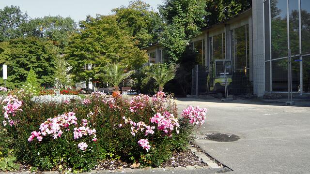 Vor der Wandelhalle