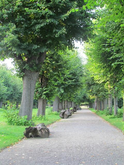 Entlang der Allee liegen die toten 'ALTEN'.