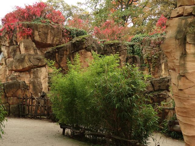 Indian Summer im Erlebniszoo Hannover